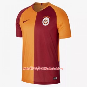 Maillot/Tenue Galatasaray Spor Kulübü Domicile 2018/2019